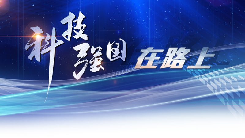 App测试报告的核心要素与规范